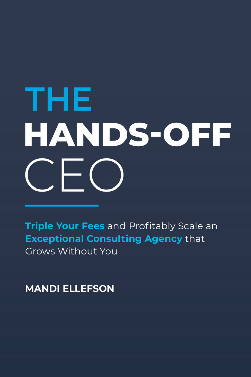 Mandi Ellefson's book